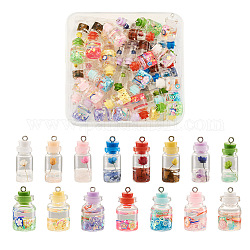 Cheriswelry 60Pcs 15 Style Wish Glass Bottle Pendants, with Natural Gemstone & Resin & Polymer Clay & Dried Flower & Stopper and Platinum Iron Peg Bails, Mixed Color, 4pcs/style
