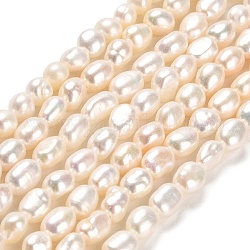 Fili di perle di perle d'acqua dolce coltivate naturali, due lati lucido, grado 4a+, biancheria, 4.5~6.5x4~5mm, Foro: 0.6 mm, circa 57~59pcs/filo, 13.98~14.09 pollice (35.5~35.8 cm)