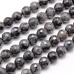 Natural Larvikite Beads Strands, Faceted, Round, Gray, 8mm, Hole: 1mm, about 46pcs/strand, 15.75 inch