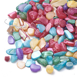 Shell Beads, No Hole Beads, Dyed, Chip, Mixed Color, 1~15x1~15x0.5~5mm, about 450g/bag
