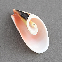 Pendenti a spirale shell, colore conchiglia, 38x21x14mm, Foro: 1.5 mm, circa 139pcs/500g