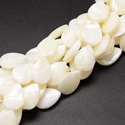 Natural Trochid Shell/Trochus Shell Beads Strands, teardrop, Creamy White, 17~18x13x4mm, Hole: 1mm, about 23pcs/strand, 15.75 inch