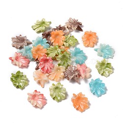 Perles de corail synthétiques, teinte, fleur, couleur mixte, 31~32x23~24x9~10mm, Trou: 1mm