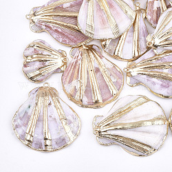 Muschelanhänger galvanisieren, mit  eisernem Zubehör, kantille, Licht Gold, Muschelfarbe, 33~47x27~43x10~14 mm, Bohrung: 2 mm