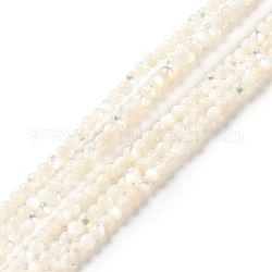 Cuentas de concha naturales blancos mechones, redondo, blanco, 2mm, agujero: 0.5 mm, aproximamente 199 pcs / cadena, 15.55 pulgada (39.5 cm)