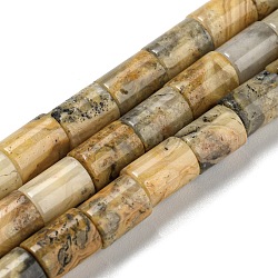 Fili di perline agata pazzesco naturale, colonna, 7.5~8x6mm, Foro: 1.2 mm, circa 48~50pcs/filo, 15.16''~15.31'' (38.5~38.9 cm)