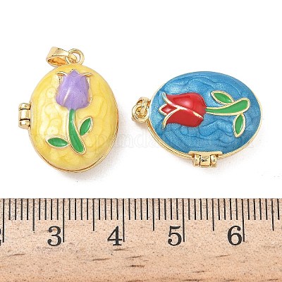 Латунь эмаль Locket подвески KK-F923-03B-G-1