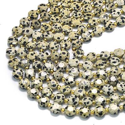 Природные яшмы далматин бисер нитей G-C116-A31-02-1