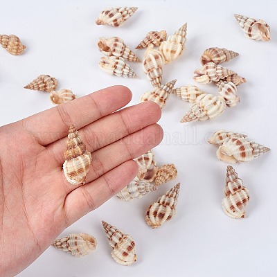 Спиральные бусины из ракушек BSHE-YW0001-02-1