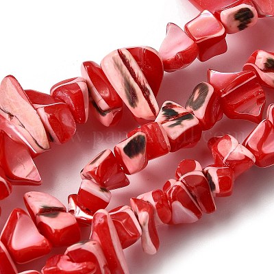 Нити бусин из натуральных трохоидных/трохус ракушек SHEL-B003-02I-1