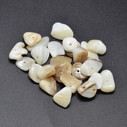 Natural Freshwater Shell Nuggets Chips Beads SHEL-O001-14-1