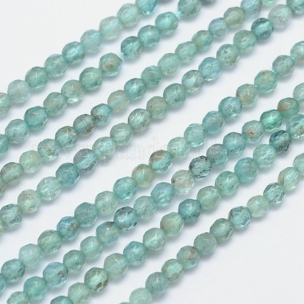 Facetas hebras de perlas naturales de apatita redondas G-I156-05-1