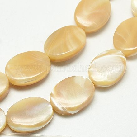 Natürlichen Muschel Perlen Stränge SSHEL-Q301-05-1