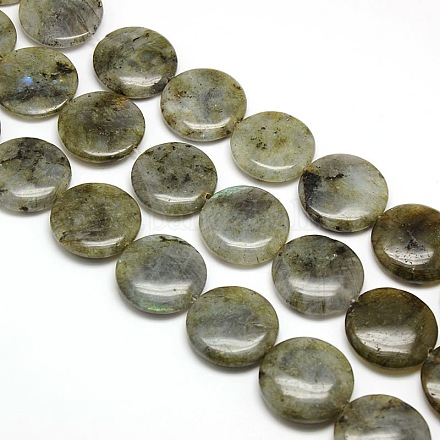 Natural Flat Round Labradorite Beads Strands G-L245-13-1