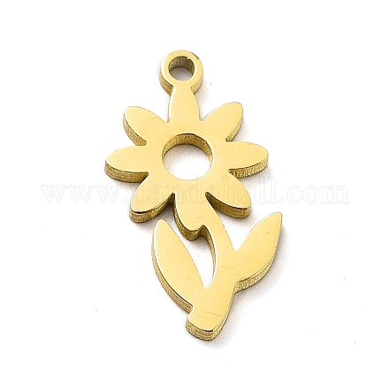 304 Stainless Steel Charms STAS-D036-02G-1