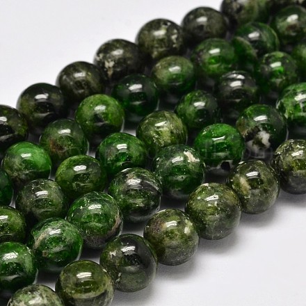 Round Natural Green Diopside Bead Strands G-F289-20-10mm-1