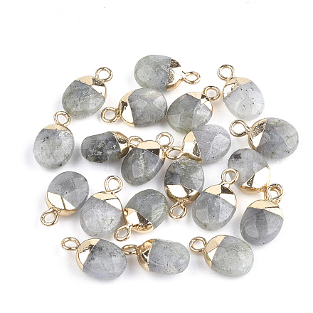 Charms in labradorite naturale per placca G-S344-09D-1