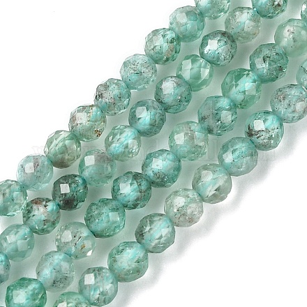 Natürliche Apatit Perlen Stränge G-F748-J01-01-1