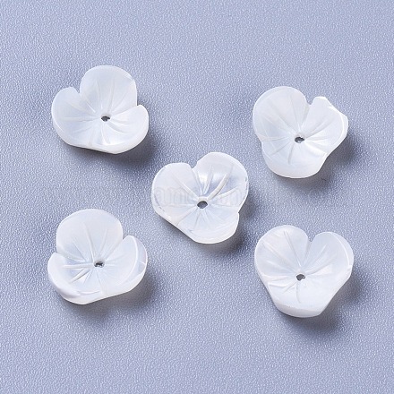 Capuchons de perles de coquille naturelle BSHE-F014-01-1