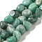 Natural Amazonite Beads Strands, Nuggets, Tumbled Stone, 8.5~11.5x8~11x8~10mm, Hole: 1.1mm, about 36~42pcs/strand, 15.55~15.94''(39.5~40.5cm)