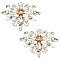 2Pcs Alloy Crystal Rhinestone Shoe Buckle Clips, with Iron Clips, Flower Shoe Decoration, Golden, 46.5x66x12mm