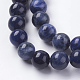 Natural Sodalite Beads Strands X-G-G448-10mm-25-3