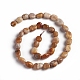 Natural Fossil Coral Beads Strands G-D0002-D78-2