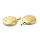 Acumular colgantes medallón de latón chapado KK-G452-01G-3