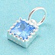 925 Sterling Silver Charms STER-G035-01A-03-2