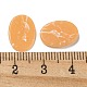 染色された合成ハウライト カボション  オーバル  橙色  14x10x2mm G-G075-11A-3