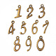 Conjuntos de colgantes de aleación de estilo tibetano PALLOY-WH0044-07AB-N-1