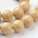 Dyed Natural Fossil Beads Strands G-E328-12mm-13-2