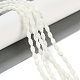 Нити бусин из натуральных пресноводных ракушек BSHE-H109-02-2