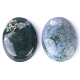 Naturelles agate indienne cabochons&nbsp;PW-WG8E62B-03-2