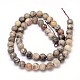 Natural Fossil Coral Round Bead Strands G-O094-08-8mm-3