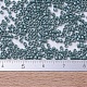 Perles miyuki delica SEED-J020-DB0264-4