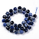 Natural Sodalite Beads Strands G-R482-21B-8MM-2