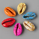 Natural Cowrie Shell Beads SSHEL-N0232-08-2