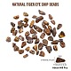 SUNNYCLUE Natural Tiger Eye Chip Beads G-SC0001-23-2