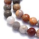 Natural Fossil Coral Beads Strands G-K310-A03-10mm-3