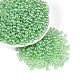 Прозрачное стекло Бисер SEED-N007-33A-05-1