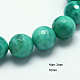 Natural Peacock Agate Beads Strands G-G213-16mm-04-1