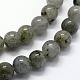 Natural Labradorite Beads Strands G-I199-15-6mm-3