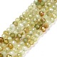 Natural Green Garnet Beads Strands G-C009-A24-1