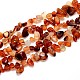Natural Carnelian Beads Strands G-O050-05-1