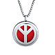 304 Stainless Steel Diffuser Locket Pendant Necklaces STAS-S061-N132-1