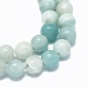 Chapelets de perles en amazonite naturelle G-L476-07-2