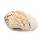 Natural Shell Beads BSHE-H015-16-3