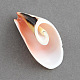 Pendenti a spirale shell SSHEL-S001-03-1