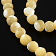 Round Natural Sea Shell Bead Strands BSHE-Q025-04A-1
